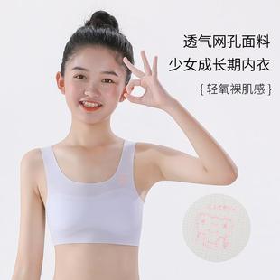 新款 直销固定杯发育期内衣初中生文胸儿童青春期女童背心学生无痕