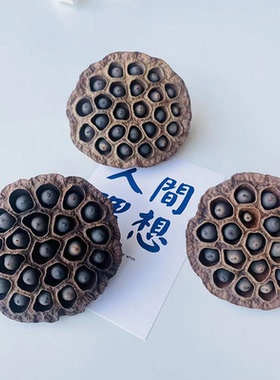 包邮禅意干花天然莲蓬带籽小莲蓬