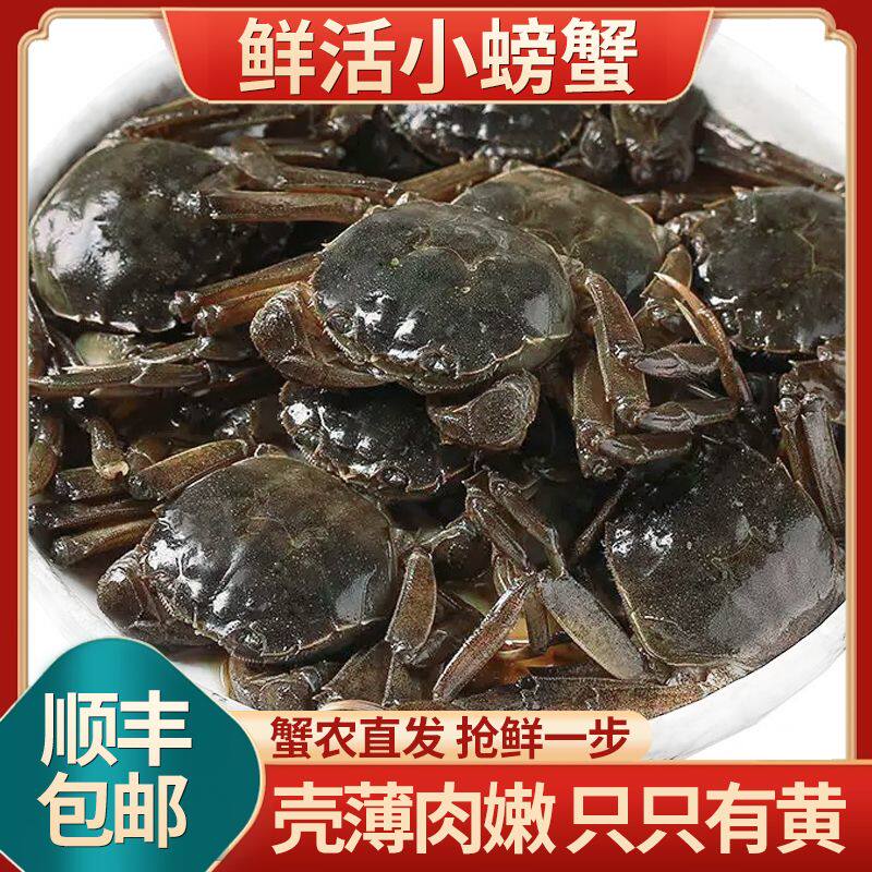 鲜活大闸蟹六月黄固城湖螃蟹河蟹大闸蟹
