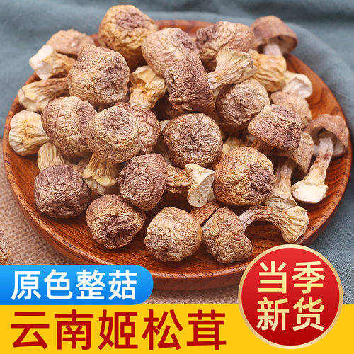 新鲜姬松茸干货500g云南野生菌菇