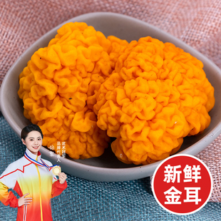 新鲜金耳菌500g云南特产黄金耳菌银耳羹野生菌新鲜菌菇非干货黄耳