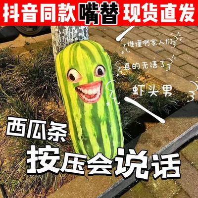 家人们谁懂啊长条搞笑西瓜条玩偶