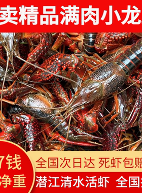 湖北潜江鲜活小龙虾湖虾清水养殖虾567钱五斤满肉满黄(现货现发）