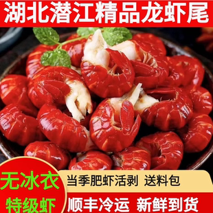 湖北特级龙大虾尾鲜冻无冰衣小龙虾尾虾球【25年当季肥虾活剥】