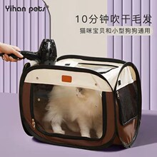 猫咪烘干机家用小型静音动物洗澡宠物烘干箱吹风机吹毛神器