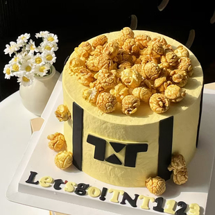 TNT时代少年团生日蛋糕爆米花应援定制北京上海广东全国同城配送