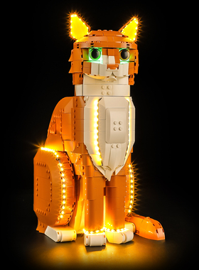 YEABRICKS适用21376橙色的猫orange cat积木LED灯饰IDEAS拼装灯具