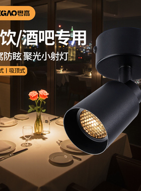 餐饮火锅店led一束光迷你轨道灯防眩光明装射灯酒吧餐厅餐桌氛围
