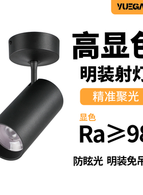 led明装射灯Ra98高显色吸顶式店铺商用美甲店餐饮茶室花店氛围灯