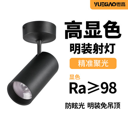 led明装射灯Ra98高显色吸顶式店铺商用美甲店餐饮茶室花店氛围灯