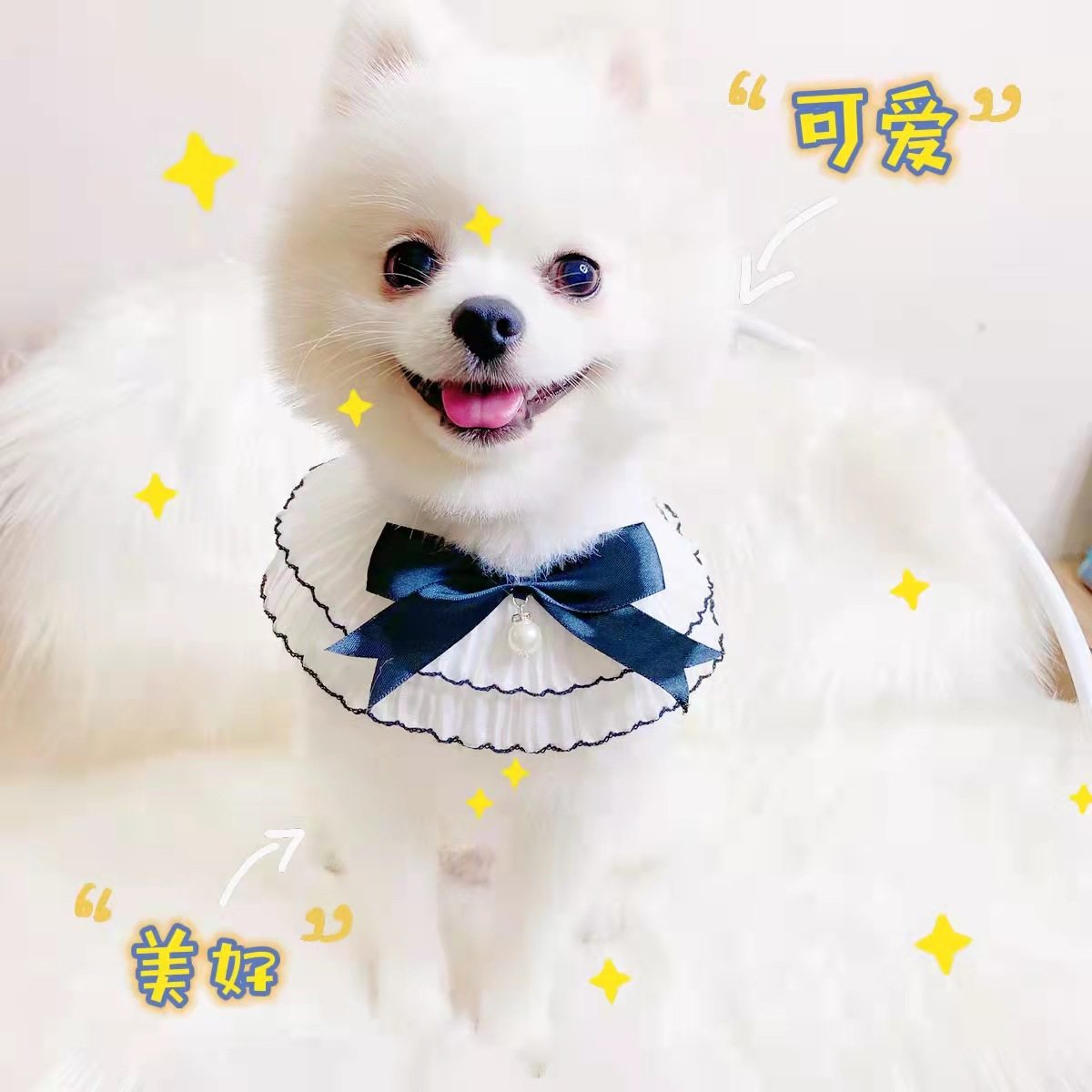 宠物口水巾猫狗围兜黑白围嘴布偶比熊拍照生日口水鸡三角巾珍珠夏,宠物/宠物食品及用品,猫宠物服装/雨衣（新）,淘宝优惠券,粉丝福利购,淘宝优惠卷