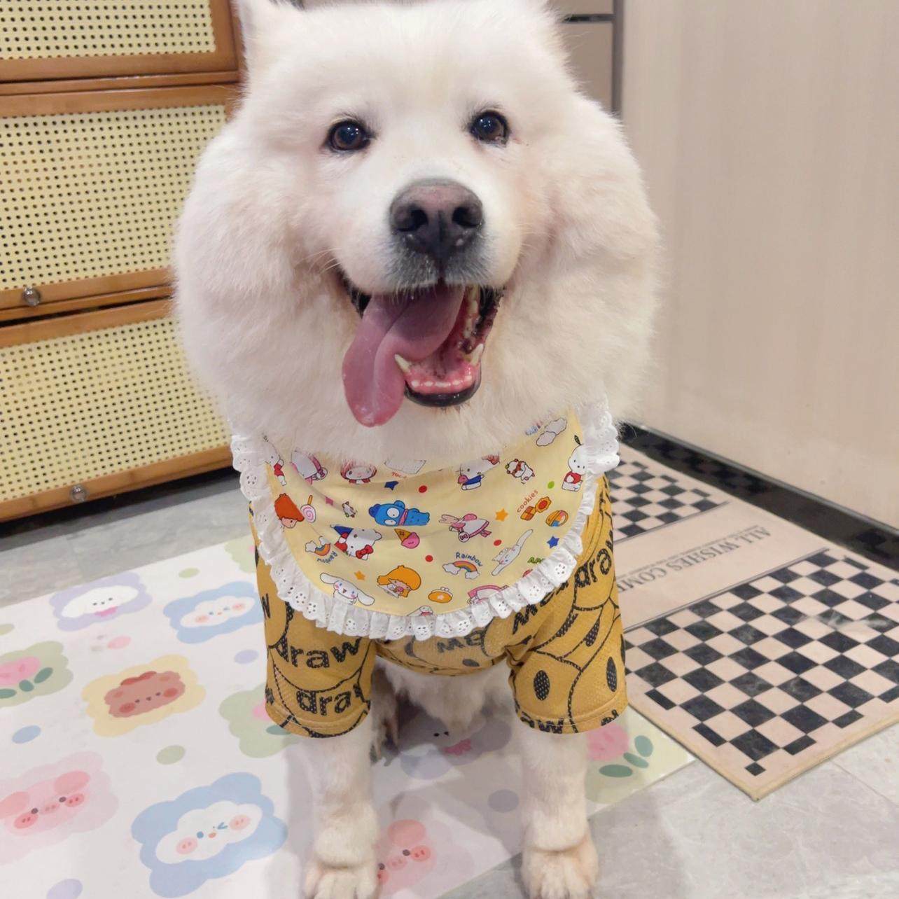 宠物狗狗口水巾超大型犬巨大型阿拉斯加萨摩耶金毛防口水网红围兜,宠物/宠物食品及用品,围巾/口水巾,淘宝优惠券,粉丝福利购,淘宝优惠卷