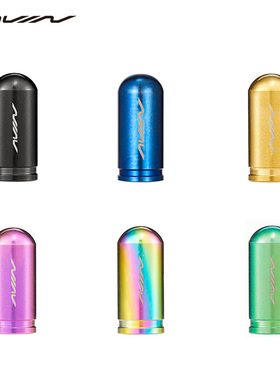 Avian飞鸟钛合金气嘴帽山地车公路车自行车法嘴气门帽防尘盖