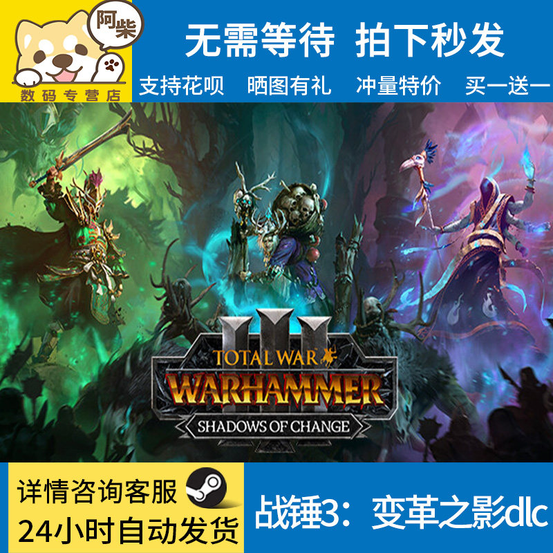 steam正版pc 战锤3：变革之影  dlc 动作 国区key使用感如何?