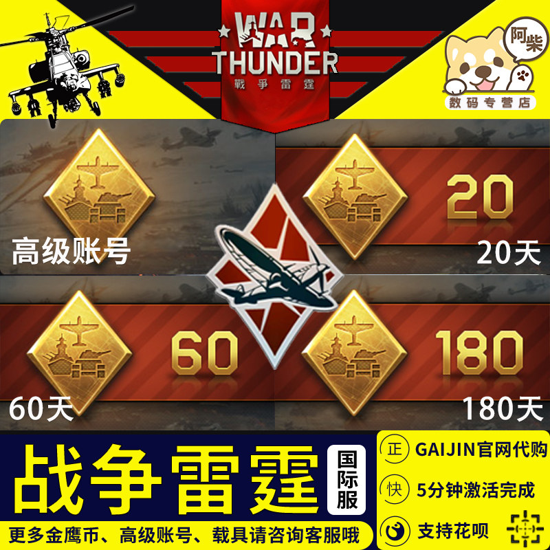 【自动发货】War thunder 战争雷霆 Steam国际服 高级账户 20天60天180天 高账会员账号 VIP高性价比高么？
