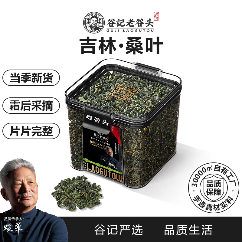 净口密封罐桑叶茶霜后冬嫩桑树叶桑葚桑树泡水喝搭配玉米须