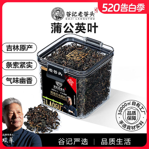 老谷头密封罐蒲公英叶茶