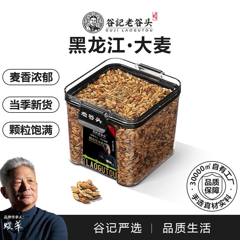 原味产品浓香型特级苦荞麦茶图片