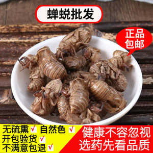 蝉蜕中药材500克包邮 正品金蝉衣知了猴皮知了壳可磨蝉蜕粉中草药