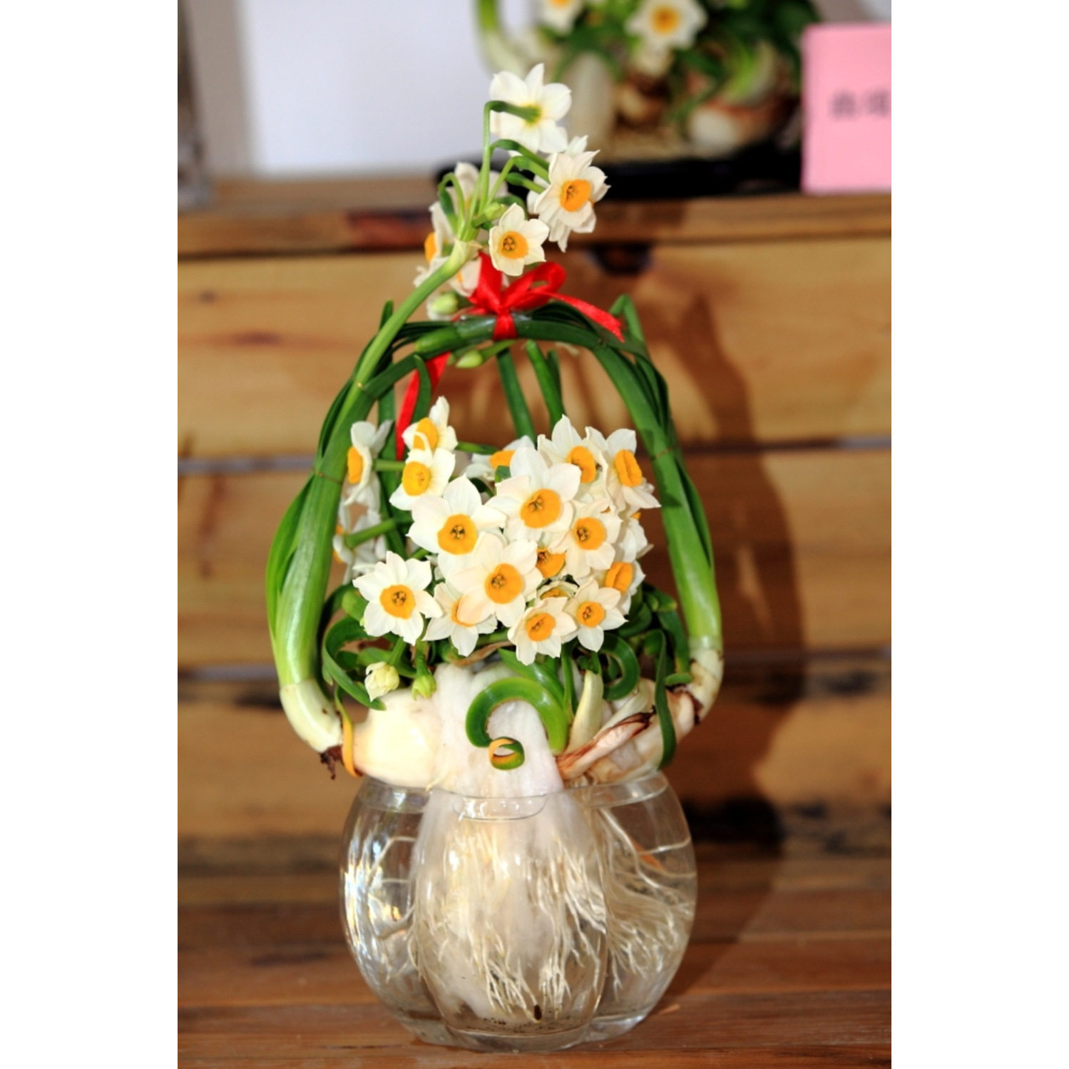 成品漳州雕刻盆栽客厅室内水养造型带花苞年宵花已养比赛造型开花