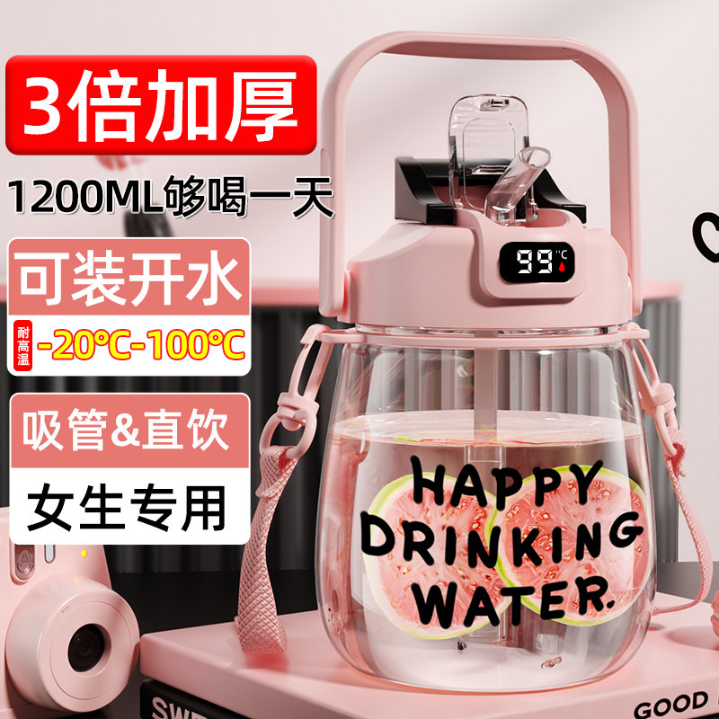 台尊大肚杯女生高颜值2026款水杯