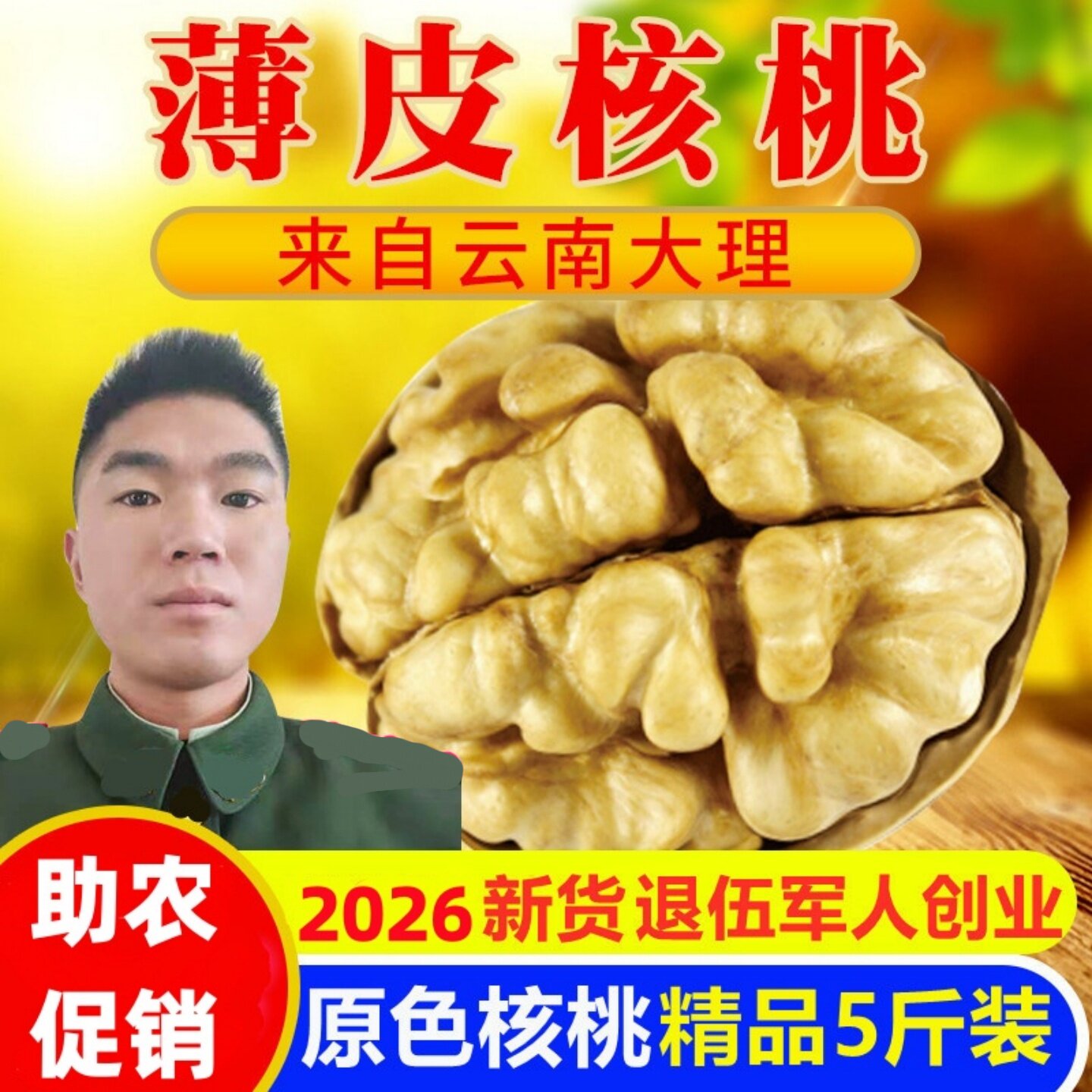 云南薄皮核桃2026年新货原味无添加新鲜纸壳黑桃孕妇专用生坚果