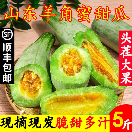 山东羊角蜜甜瓜蜜瓜香瓜顺丰包邮