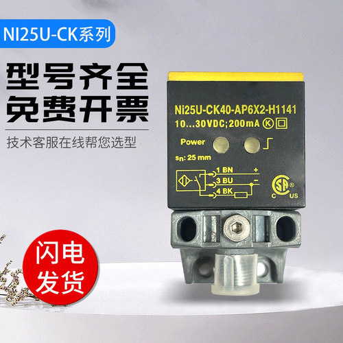 图尔克型NI25U-CK40-VN6X2/AP6X2