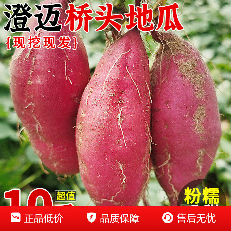 海南澄迈桥头富硒地瓜9斤正宗新鲜农家现挖番薯沙地板栗红薯包邮3