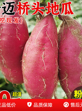 海南澄迈桥头富硒地瓜9斤正宗新鲜农家现挖番薯沙地板栗红薯包邮3