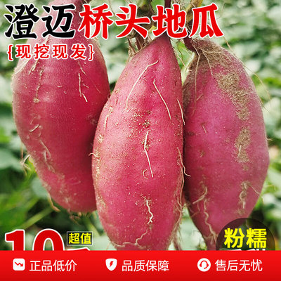 海南澄迈桥头富硒地瓜9斤正宗新鲜农家现挖番薯沙地板栗红薯包邮3