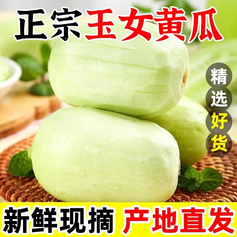 水果小黄瓜新鲜玉女黄瓜5斤白玉黄瓜小拇指青瓜现摘生吃蔬菜包邮3