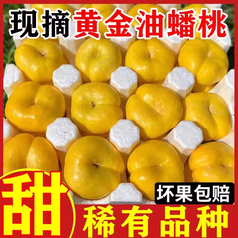 黄金油蟠桃新鲜水果山东蒙阴