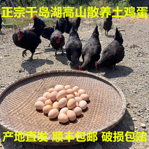 100枚土鸡蛋千岛湖农家土鸡蛋