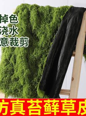 仿真苔藓草皮仿生假苔藓仿真草坪永生假青苔微景观绿植造景假草丝