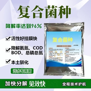 污水处理菌种厌氧菌活性污泥污水复合菌种厌氧菌曝气池降cod氨氮