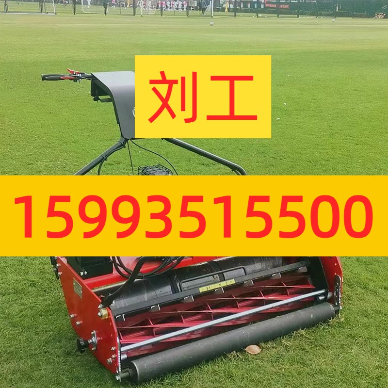 滚刀剪草机 足球场用 天然草坪割草机 德耐优自走式剪草机定金价