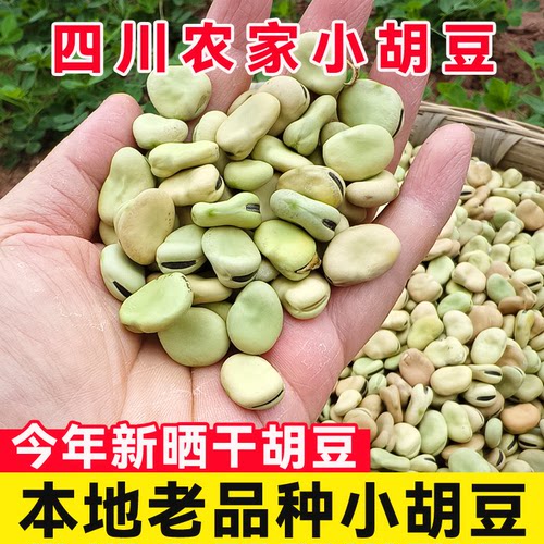 2025年四川生干胡豆新货5斤