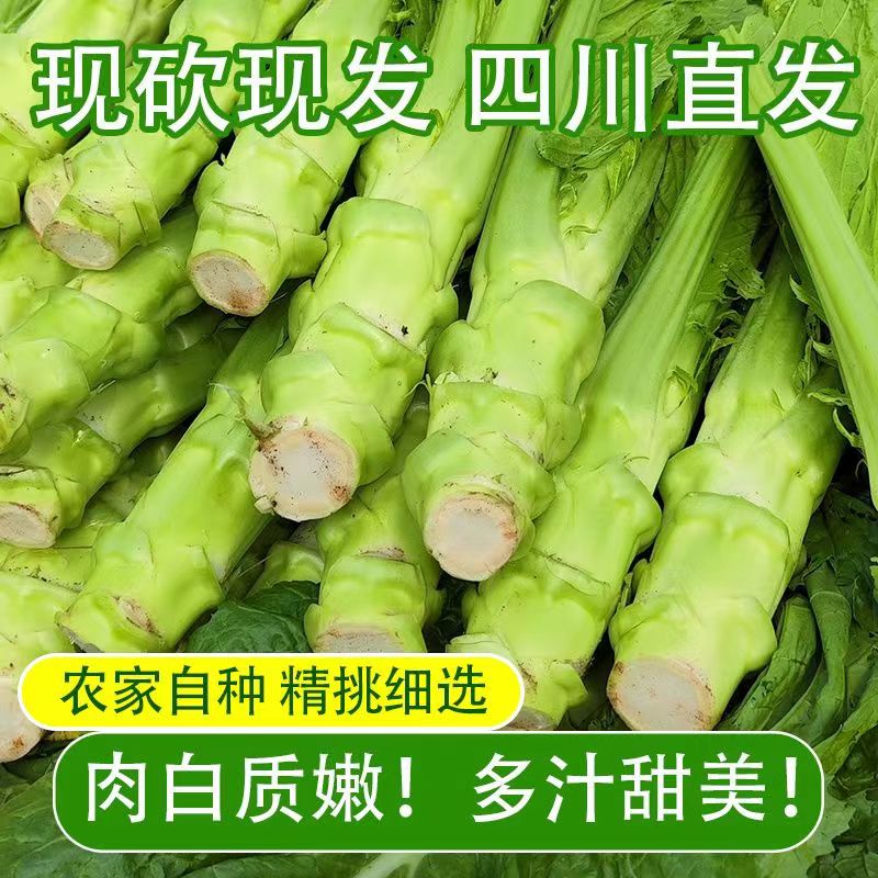 四川兜兜菜新鲜棒菜9斤
