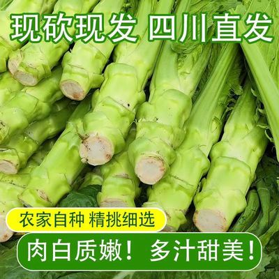 四川兜兜菜新鲜棒菜9斤