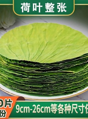 整张干 荷叶片圆形12-28cm定制荷叶饭糯米蒸饭蒸排骨鸡粽子木桶