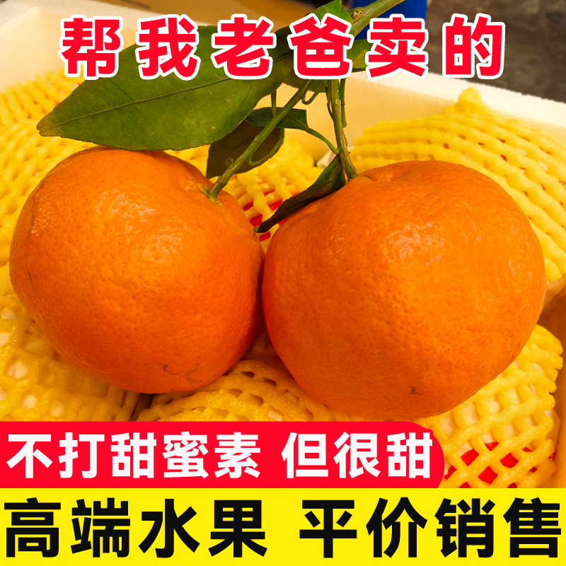 新品种甘平橘子柑平耙耙柑升级版柑橘新鲜水果皇后四川农家自种,水产肉类/新鲜蔬果/熟食,桔子,淘宝优惠券,粉丝福利购,淘宝优惠卷