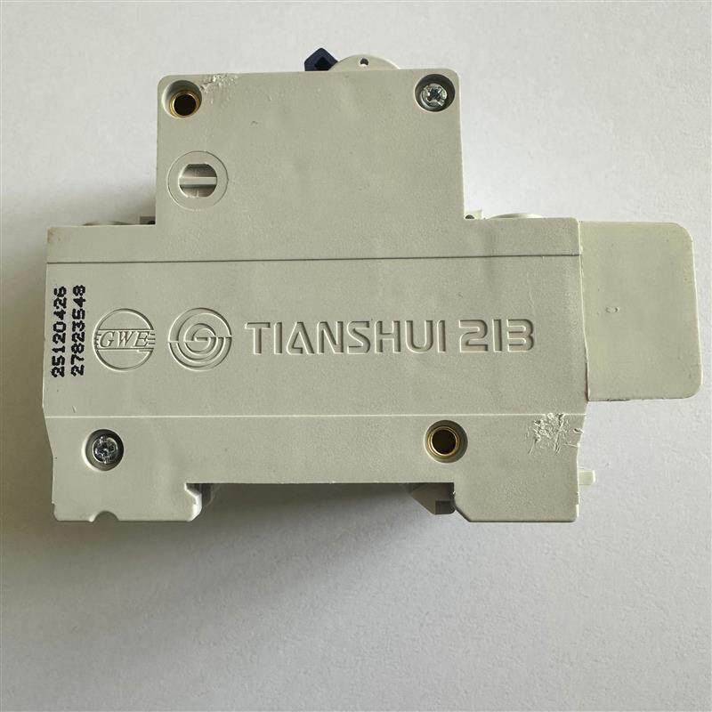 天水213二一三DZX2-60C101P+DZX2-60LDZX4-40L漏电保护断路器