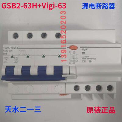 正品天水213二一三GSB2-63H+Vigi63漏电断路器天水213漏电保护器