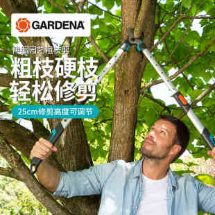 红点奖 进口伸缩园艺粗枝剪 园林树枝大力剪 德国嘉丁拿GARDENA