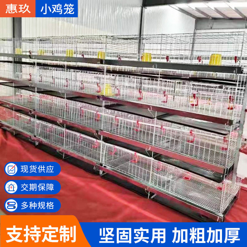 四层立式育雏小鸡笼雏鸡育苗笼养雏鸡笼养殖场铁丝镀锌养小鸡笼