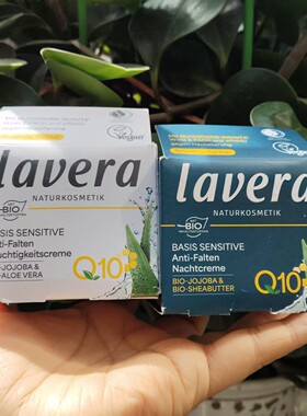 德国拉薇乳木果霍霍巴芦荟Q10防敏感抗皱套装早晚日霜晚霜