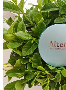 德国Alterra天然粉饼粉底吸油定妆石榴精华浅色