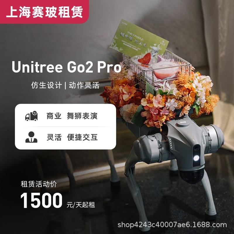 出租宇树Unitree Go2 机器狗 仿生 舞狮表演活动 广告拍摄