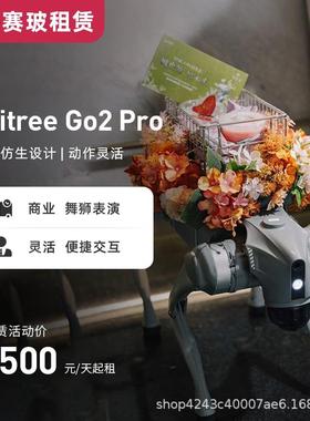 出租宇树Unitree Go2 机器狗 仿生 舞狮表演活动 广告拍摄